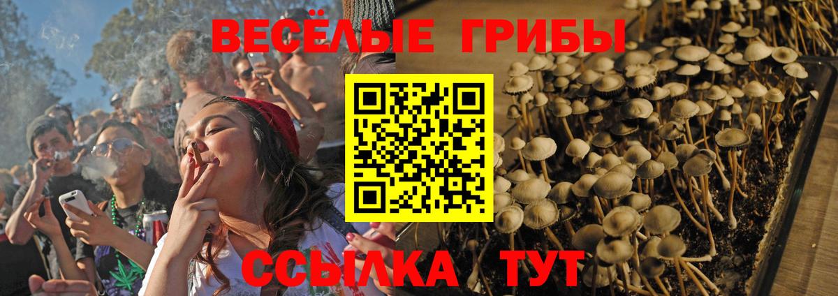 Псилоцибиновые грибы Magic Shrooms Белово