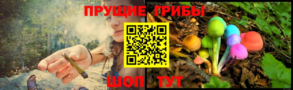 Белово  Псилоцибиновые грибы Psilocybine cubensis  Вход с VPN 